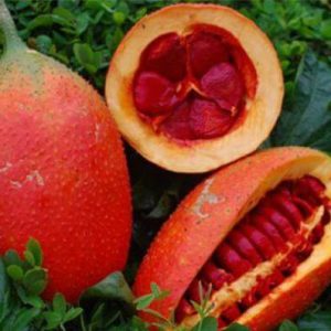 Gấc chín nguyên quả