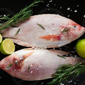 Cá diêu hồng 1.5-1.7kg/con